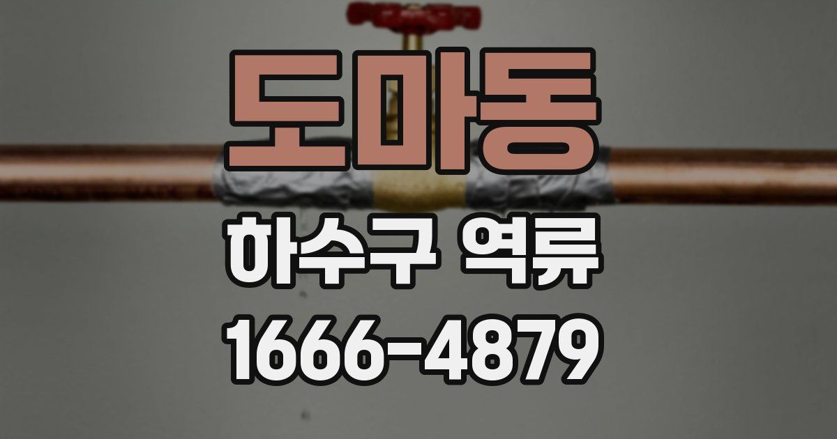 도마동 하수구 역류