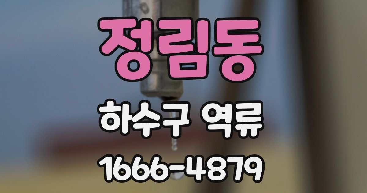 정림동 하수구 역류