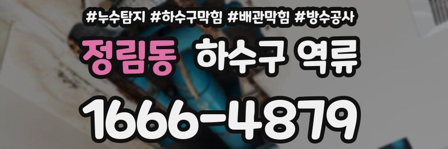 정림동 하수구 역류