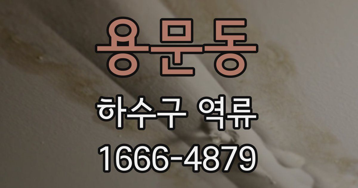 용문동 하수구 역류