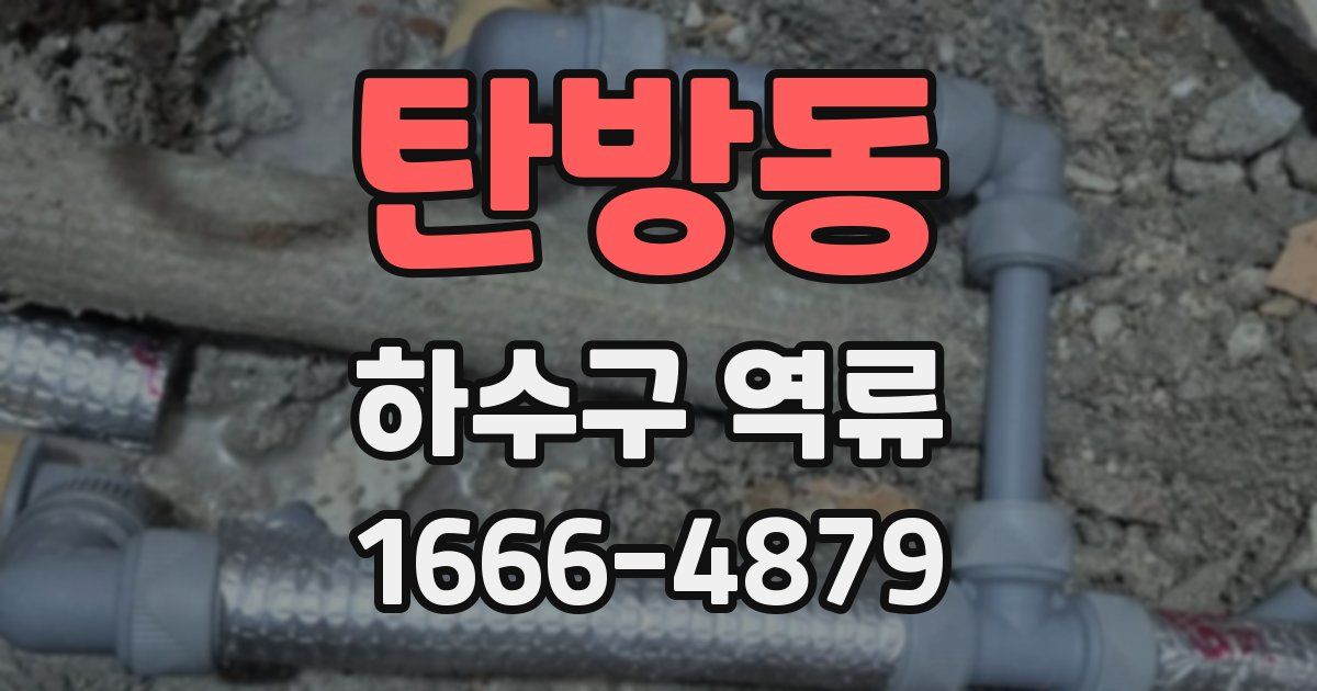 탄방동 하수구 역류