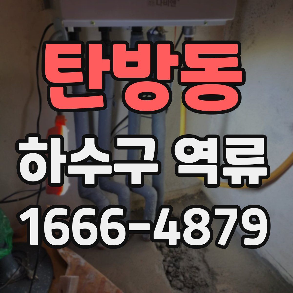 탄방동 하수구 역류
