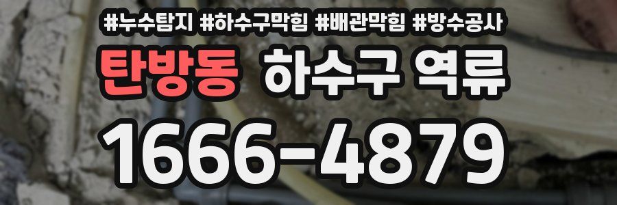 탄방동 하수구 역류