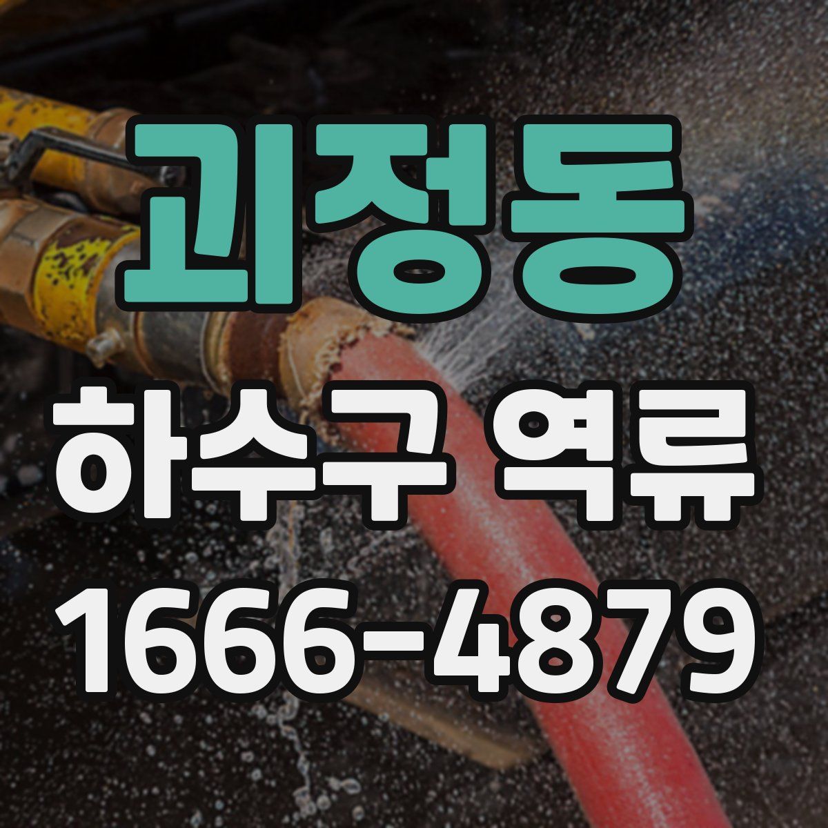 괴정동 하수구 역류