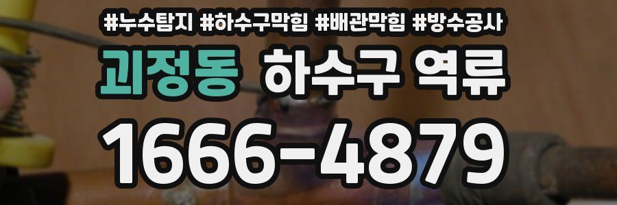 괴정동 하수구 역류