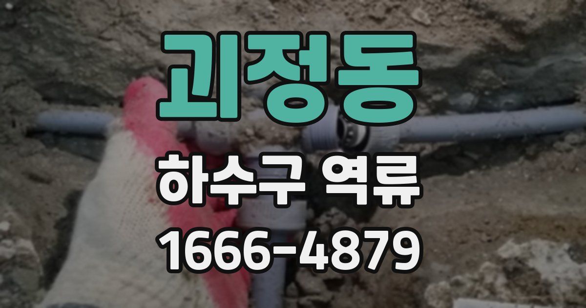 괴정동 하수구 역류