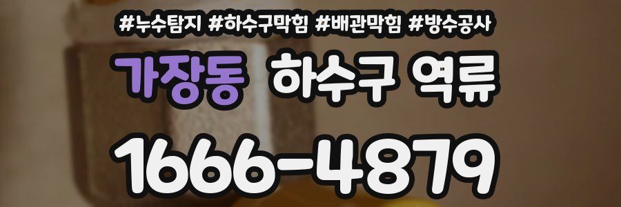 가장동 하수구 역류