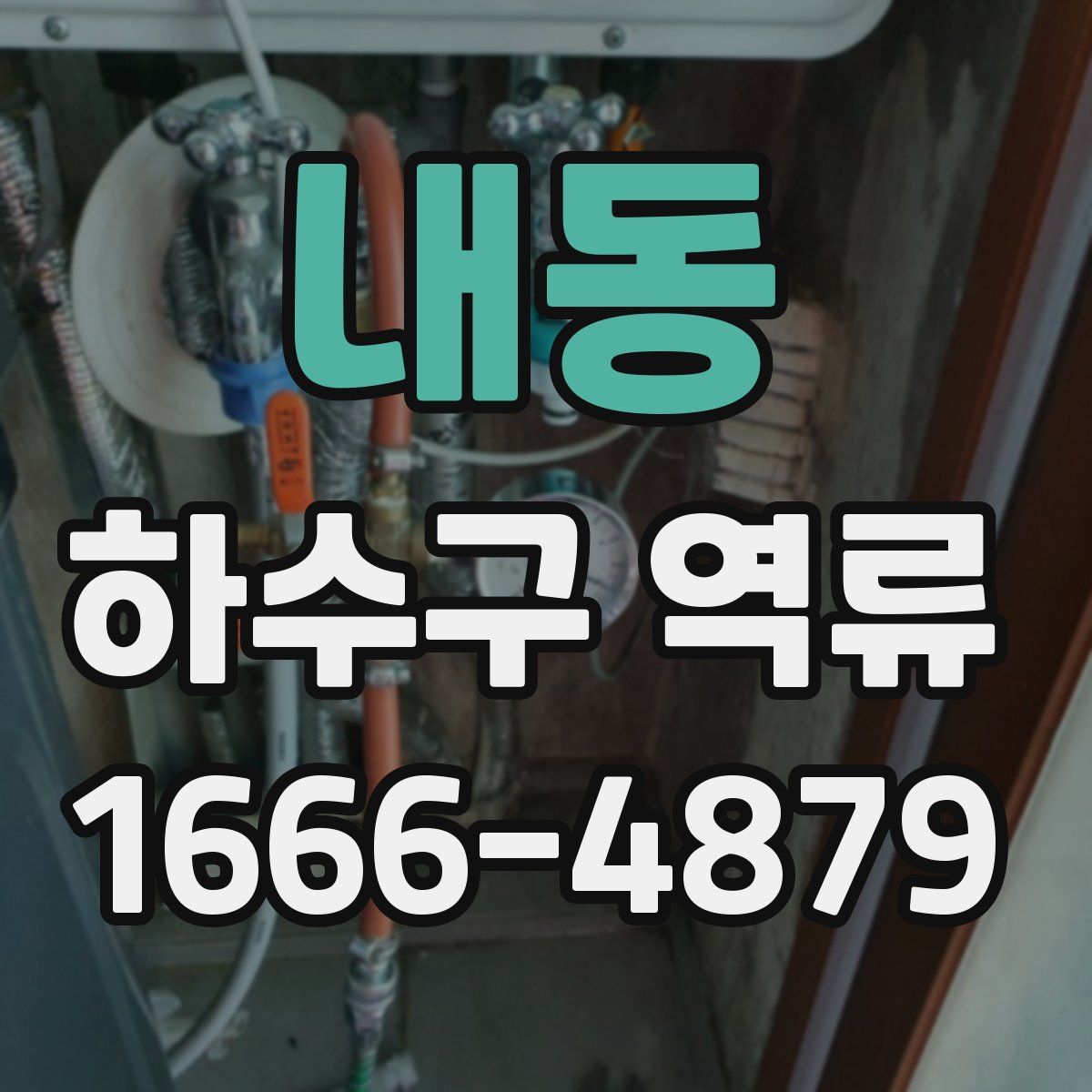내동 하수구 역류