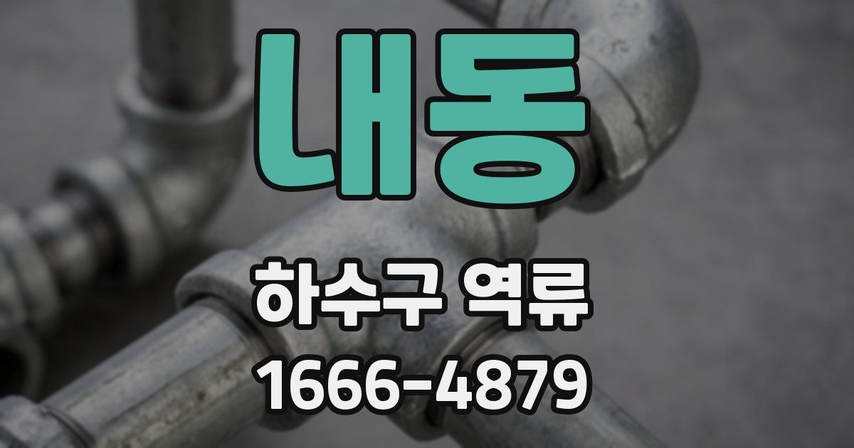 내동 하수구 역류