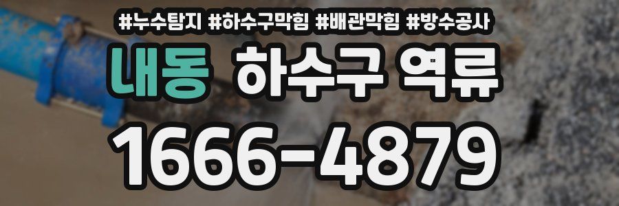 내동 하수구 역류