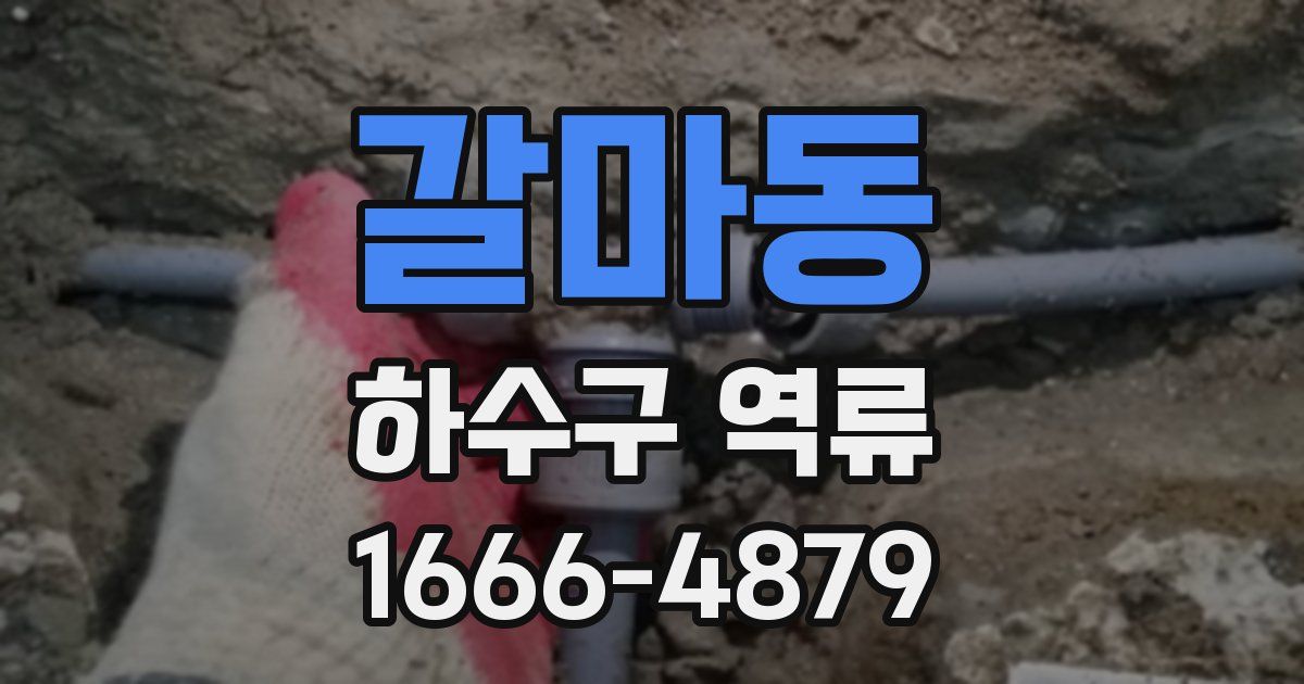 갈마동 하수구 역류