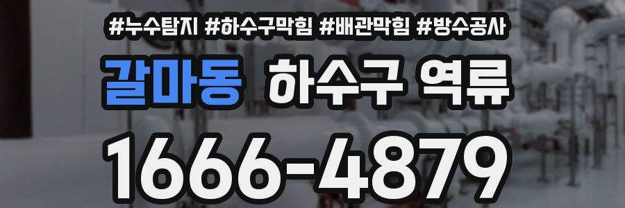갈마동 하수구 역류