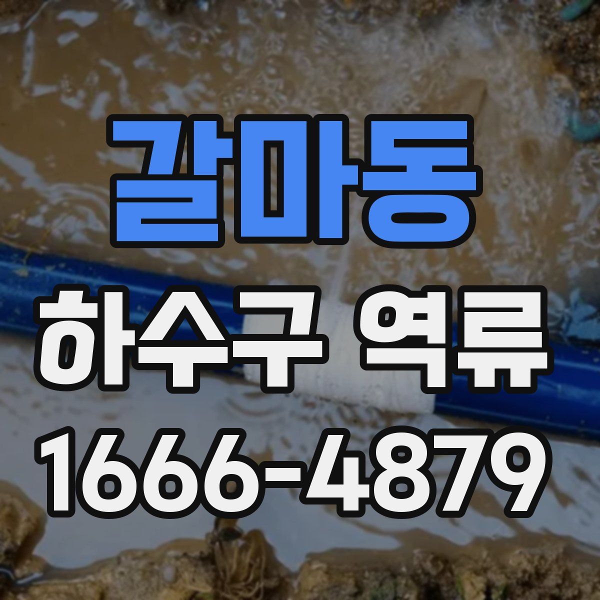 갈마동 하수구 역류