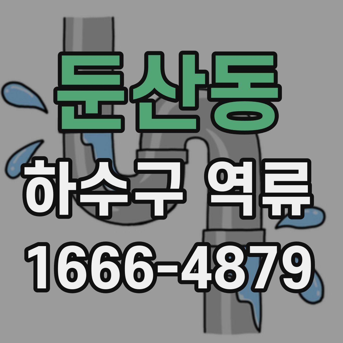둔산동 하수구 역류