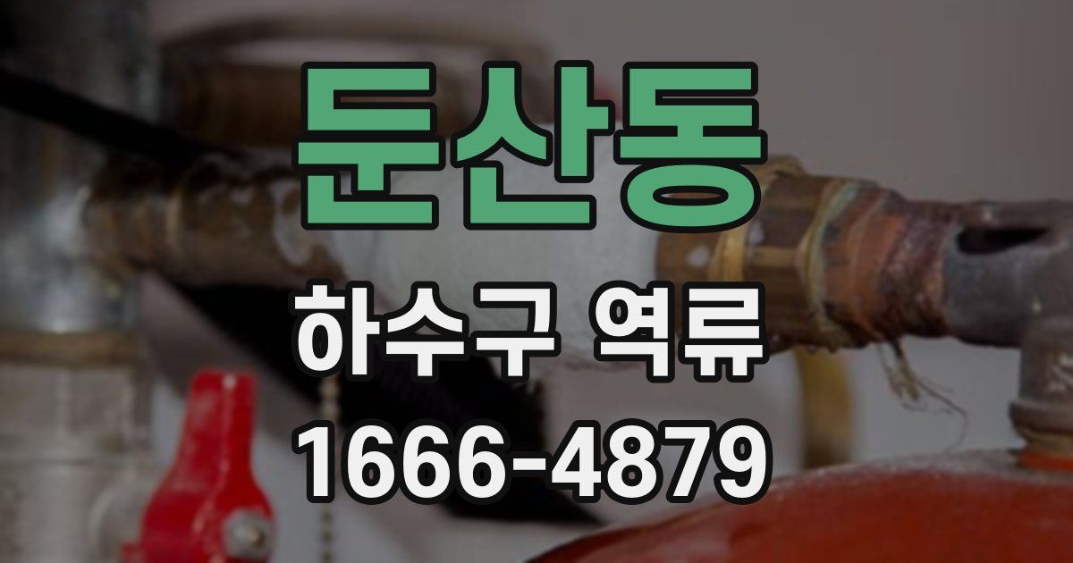 둔산동 하수구 역류