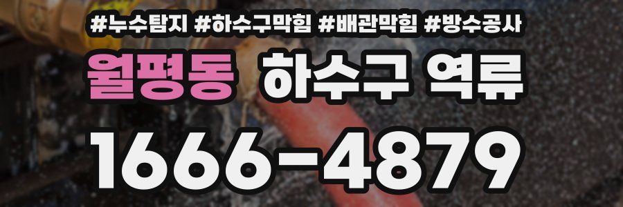 월평동 하수구 역류