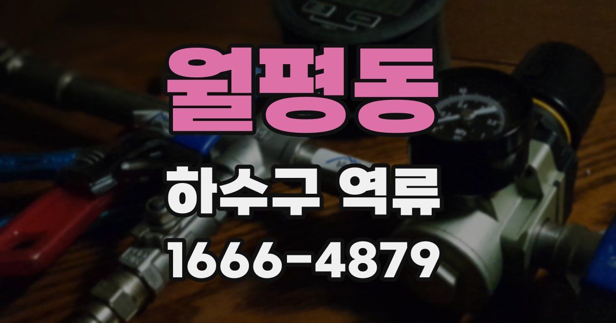월평동 하수구 역류