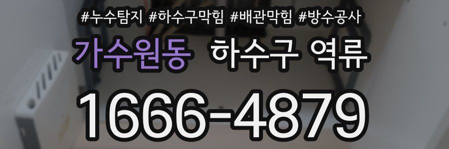 가수원동 하수구 역류