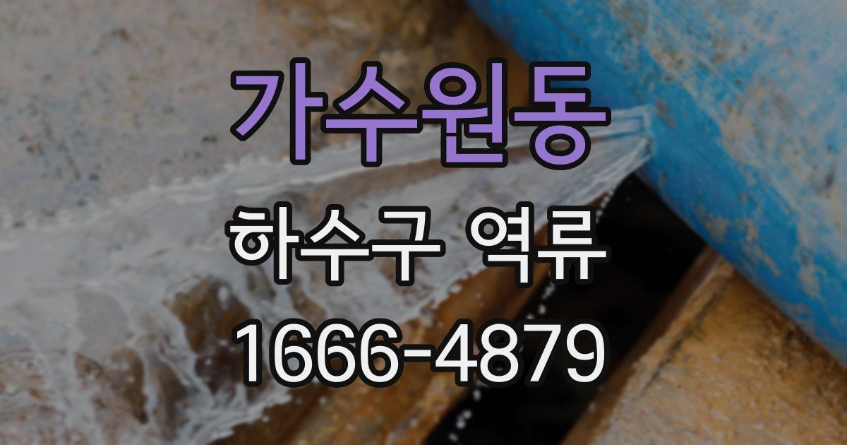 가수원동 하수구 역류