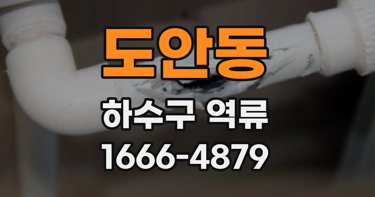 도안동 하수구 역류