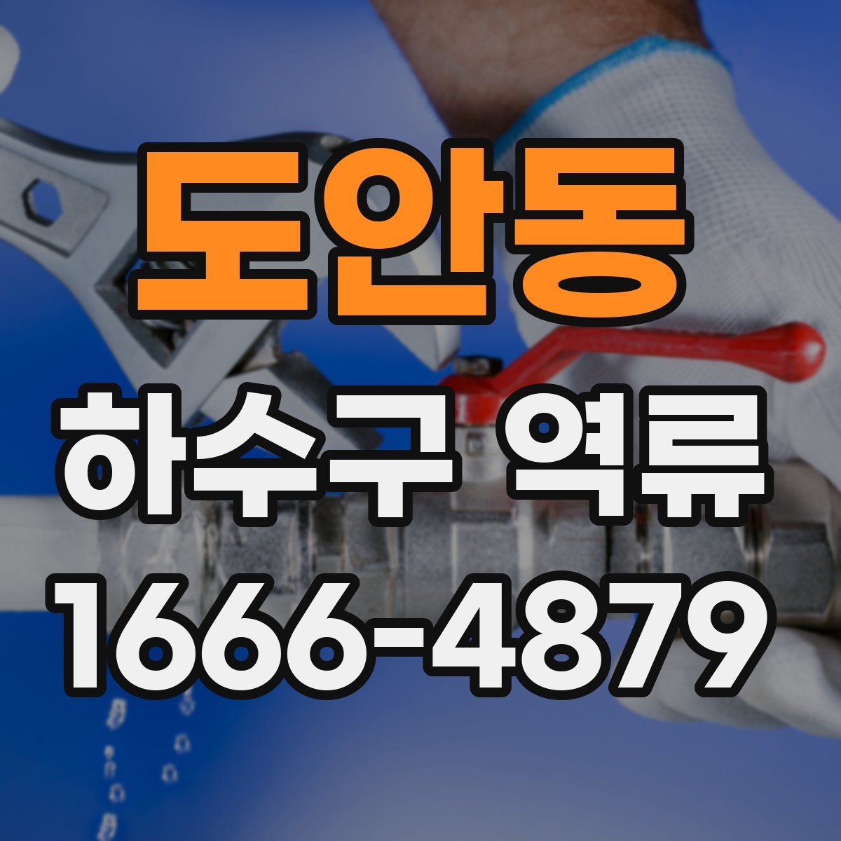 도안동 하수구 역류