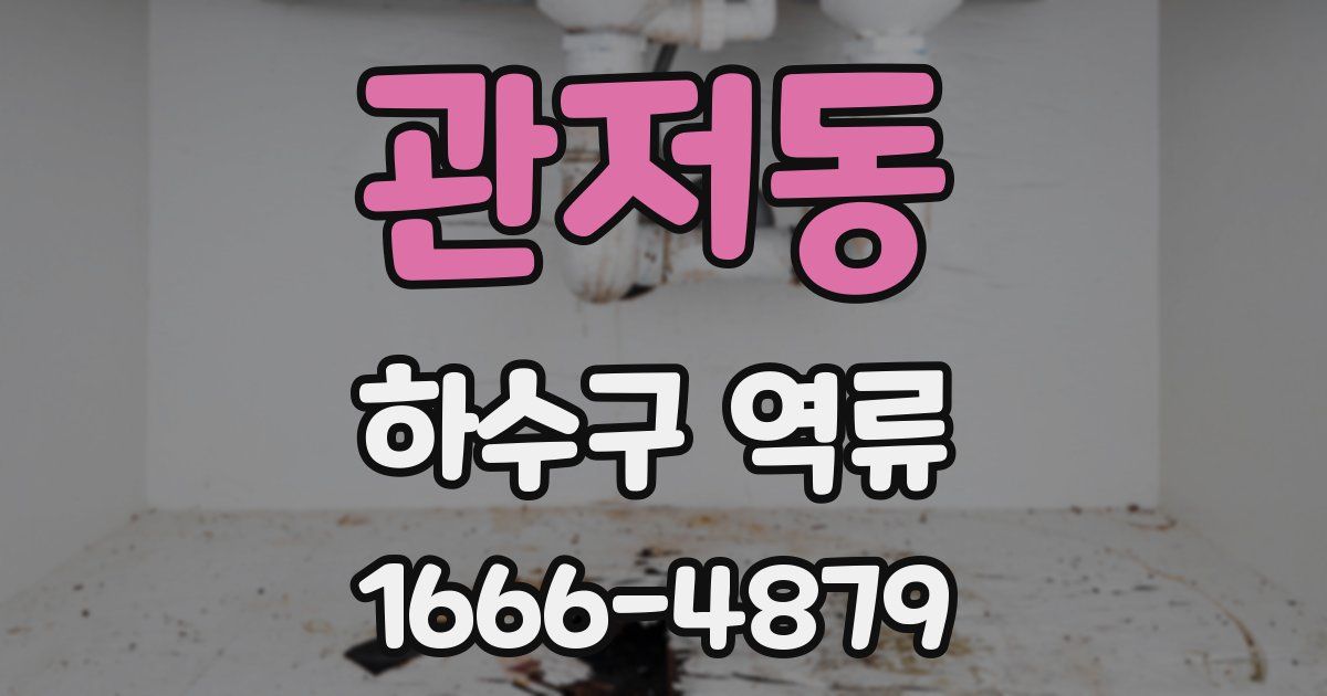 관저동 하수구 역류
