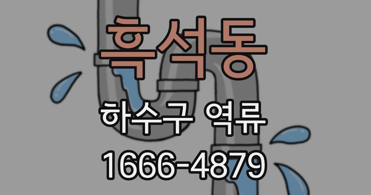 흑석동 하수구 역류