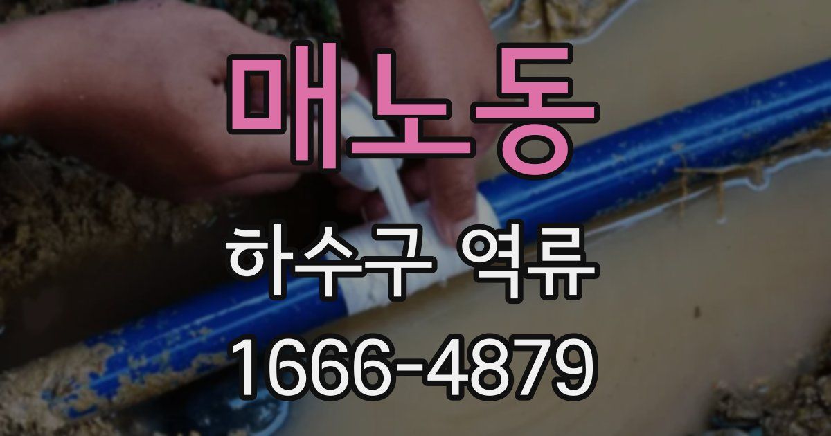 매노동 하수구 역류