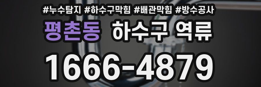평촌동 하수구 역류