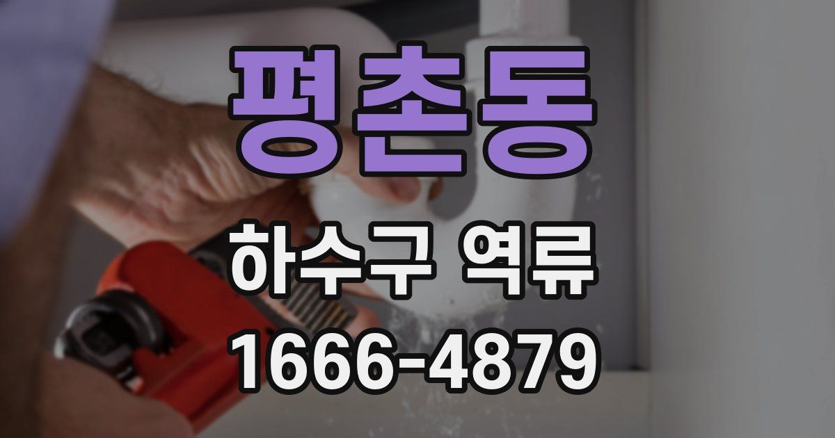평촌동 하수구 역류