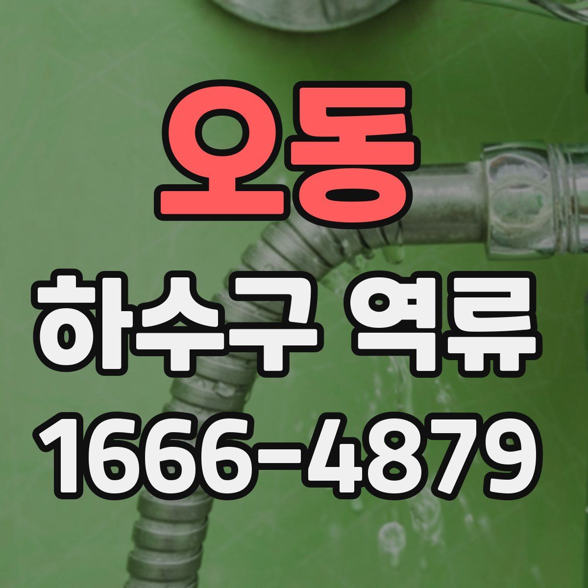 오동 하수구 역류