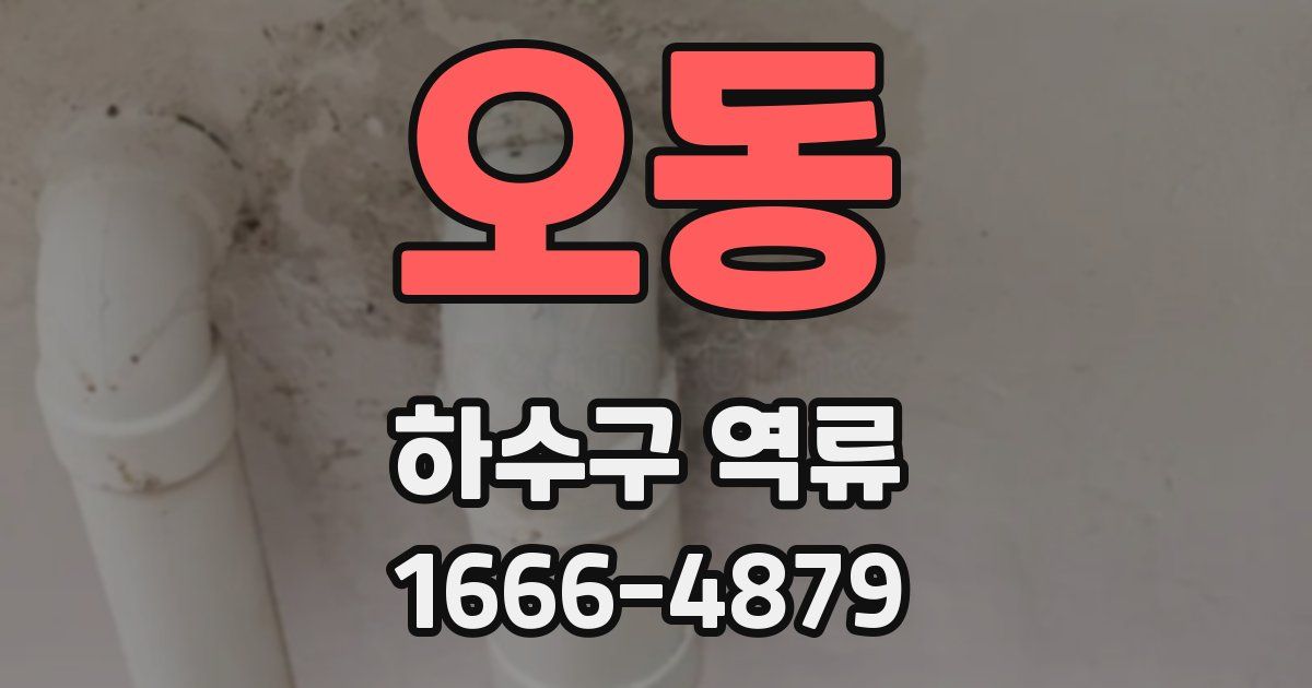 오동 하수구 역류