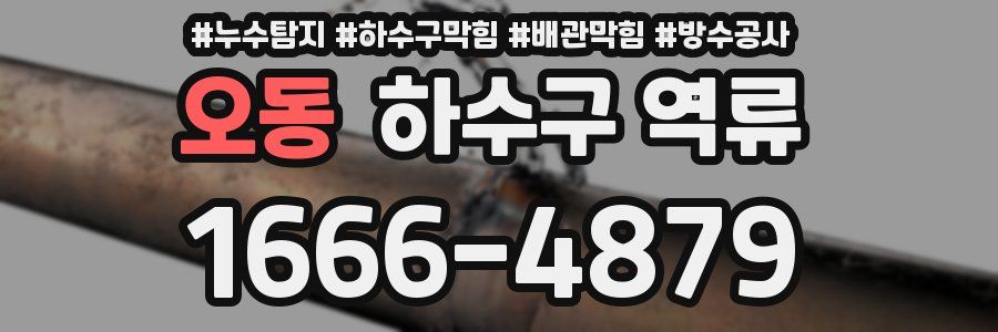 오동 하수구 역류