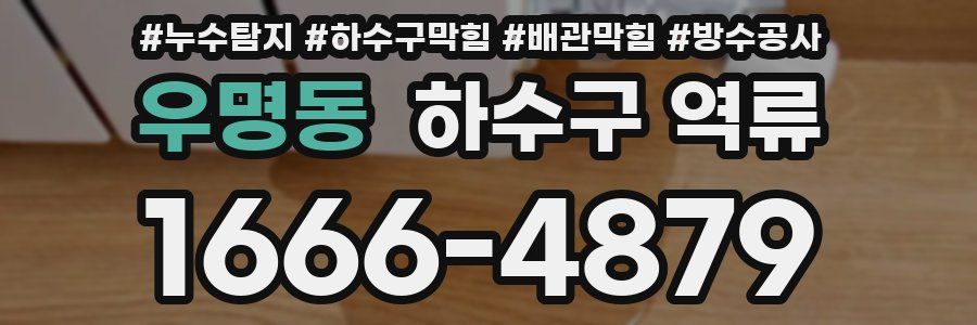 우명동 하수구 역류