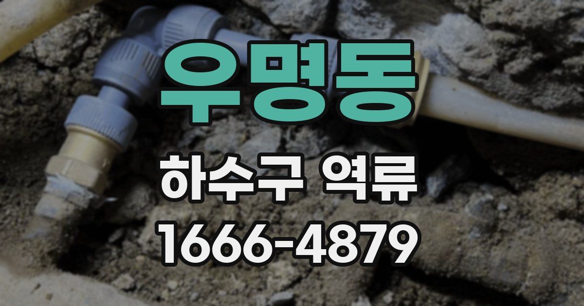 우명동 하수구 역류