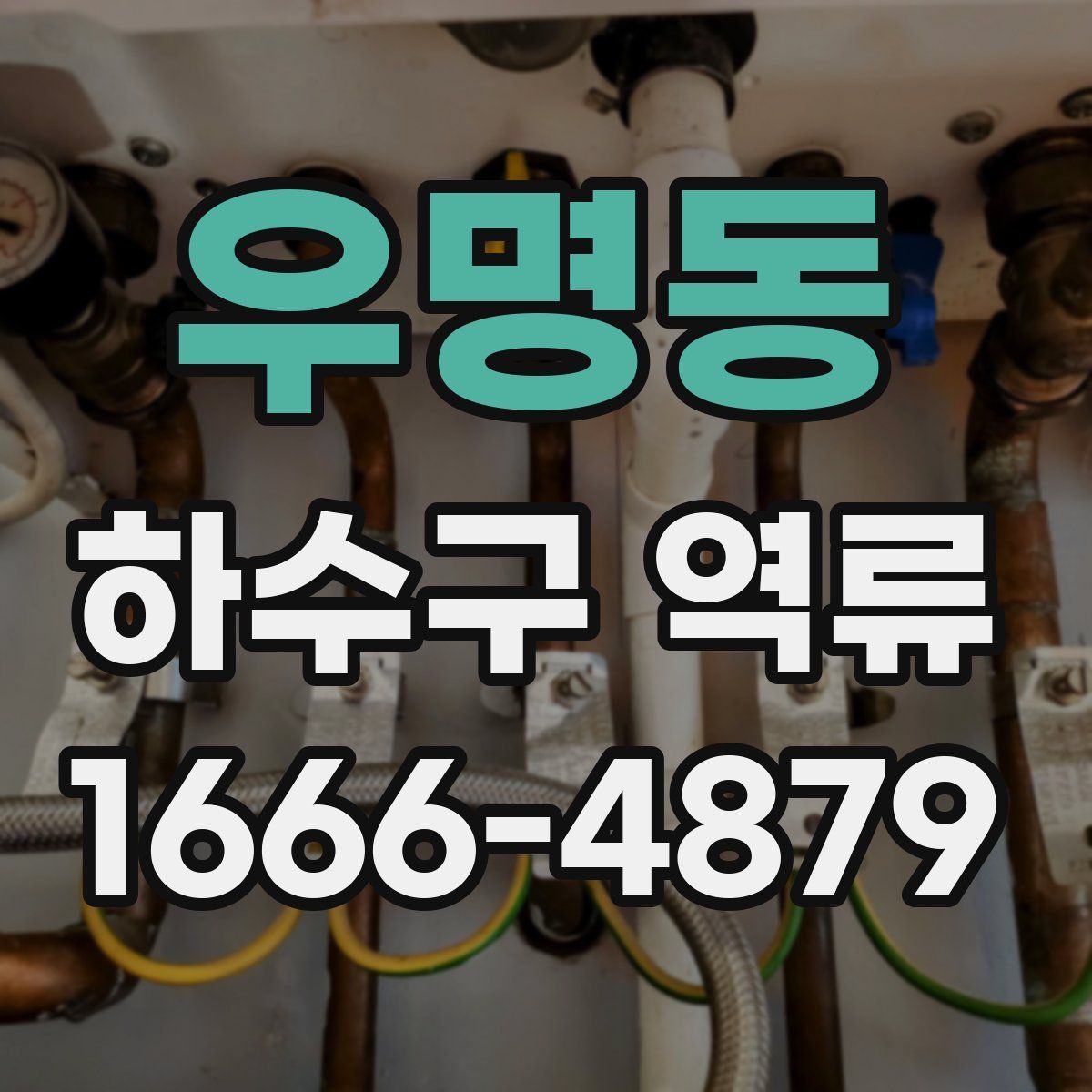 우명동 하수구 역류