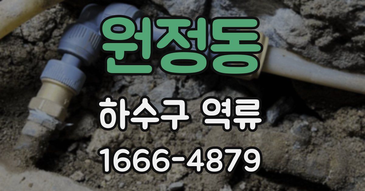 원정동 하수구 역류
