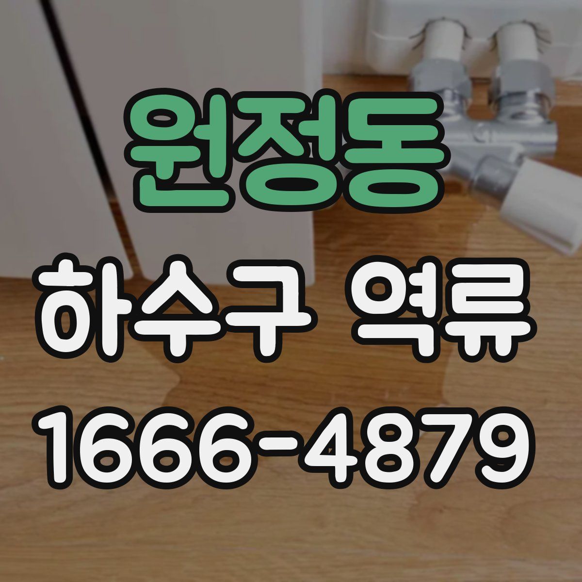 원정동 하수구 역류