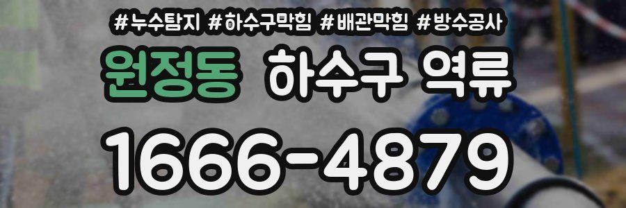 원정동 하수구 역류