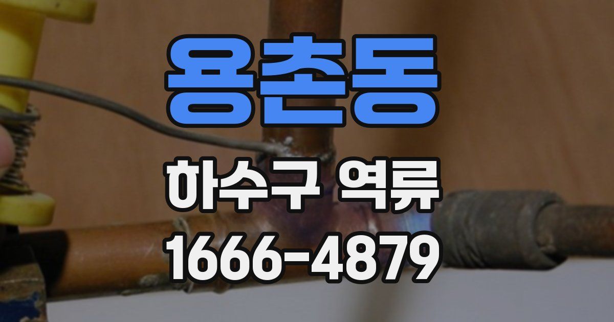 용촌동 하수구 역류