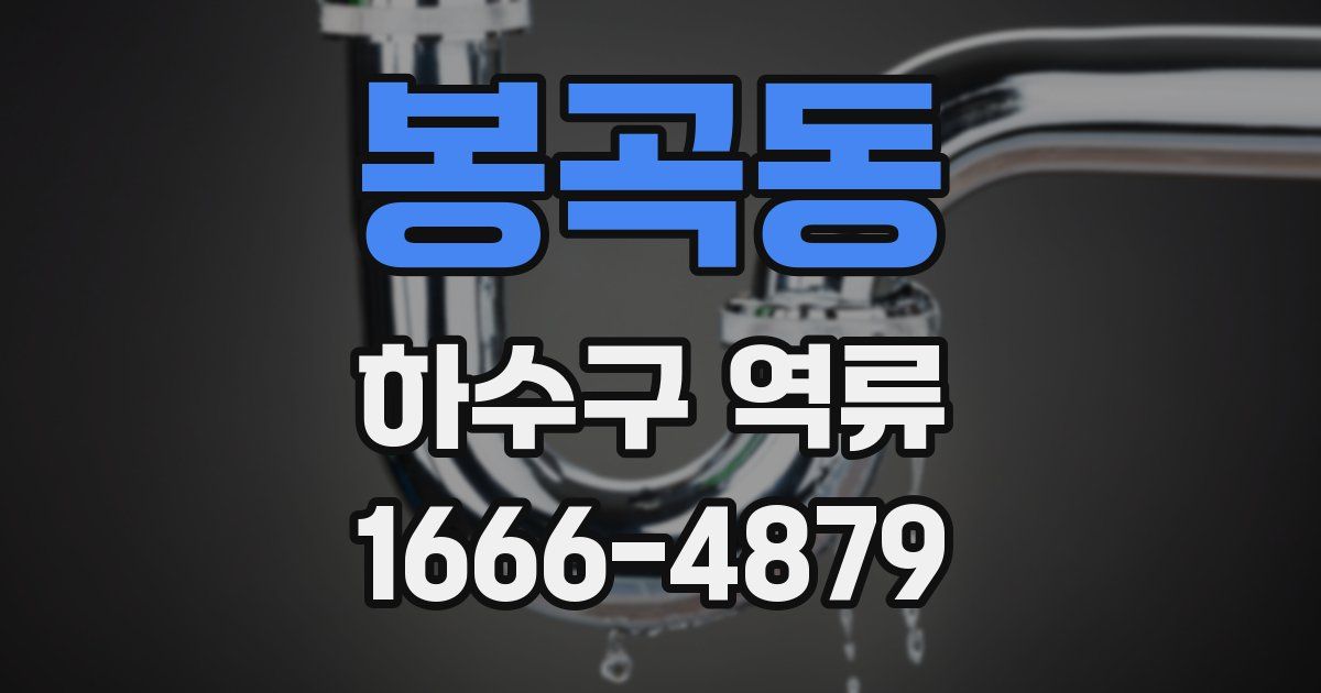 봉곡동 하수구 역류
