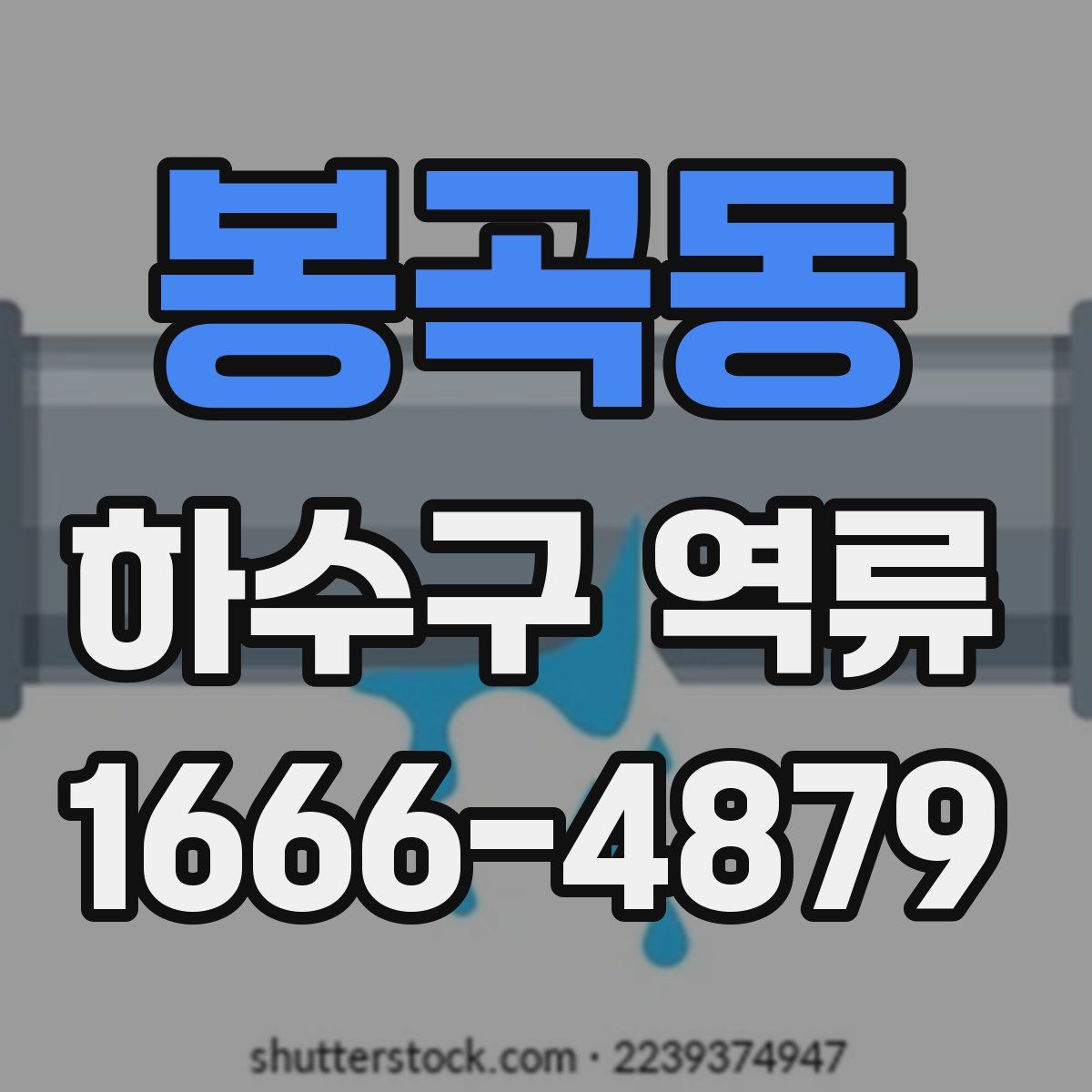 봉곡동 하수구 역류