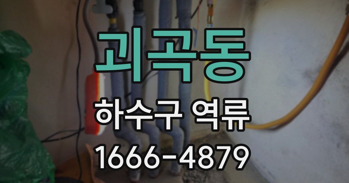 괴곡동 하수구 역류