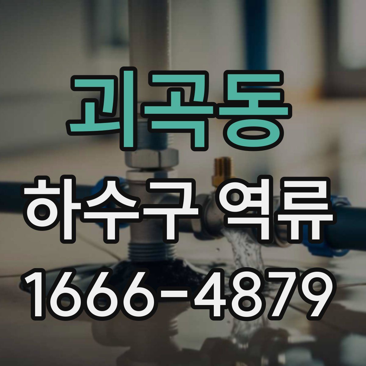 괴곡동 하수구 역류