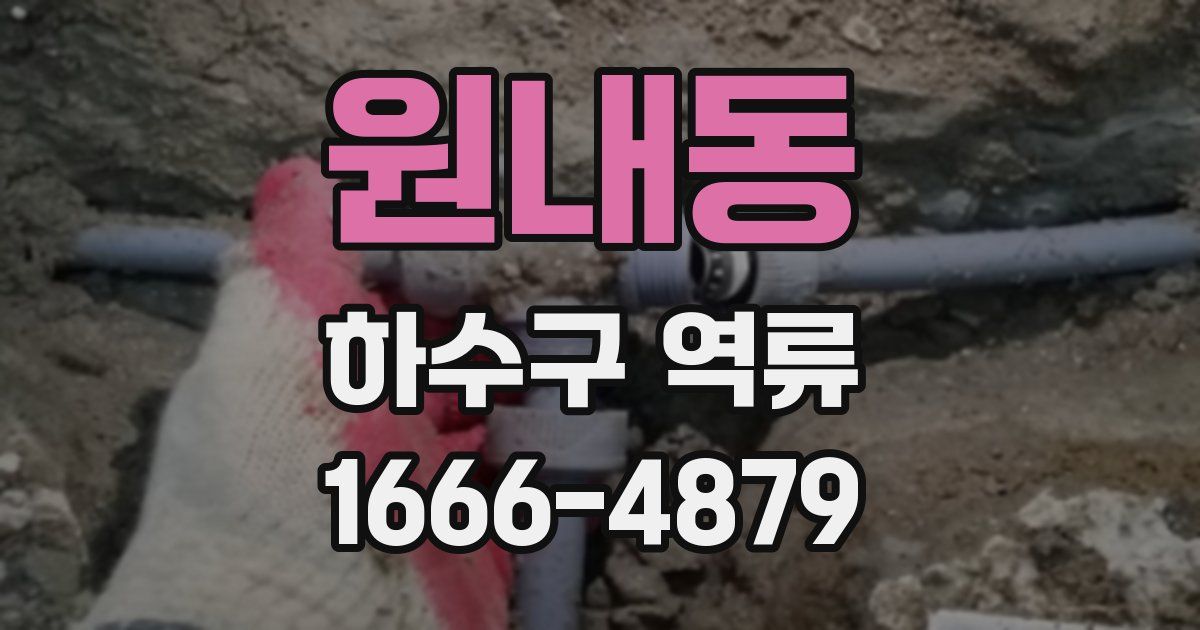 원내동 하수구 역류