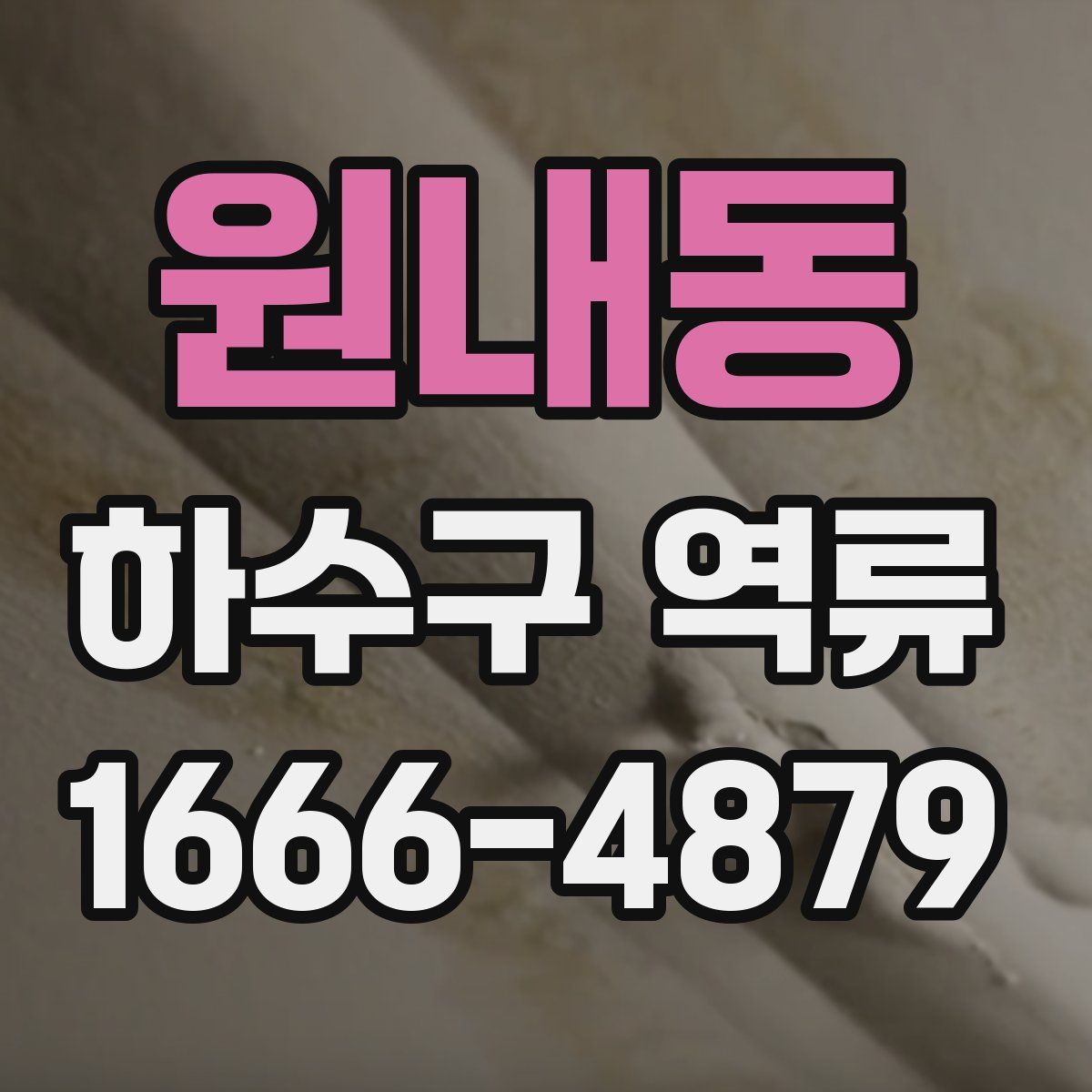원내동 하수구 역류