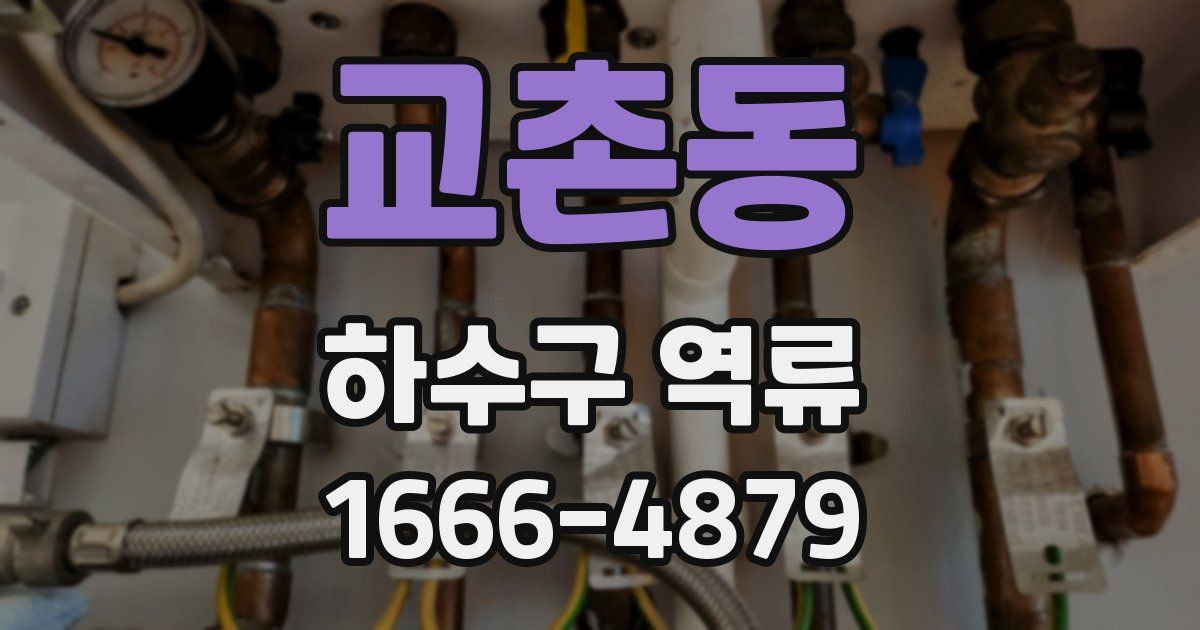 교촌동 하수구 역류