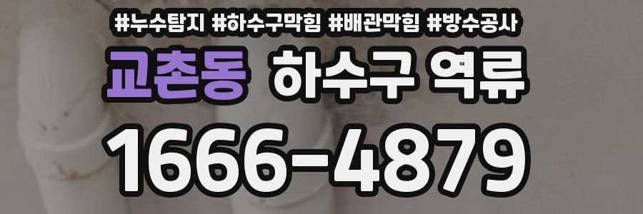 교촌동 하수구 역류