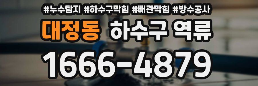 대정동 하수구 역류