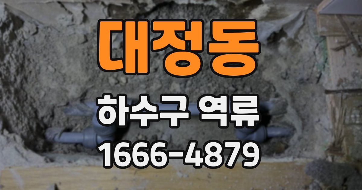 대정동 하수구 역류